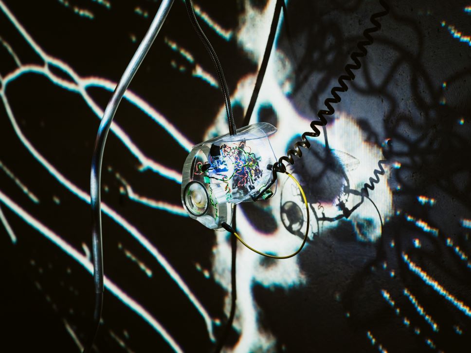 Jutri začetek 19. festivala Svetlobna gverila: Motnje