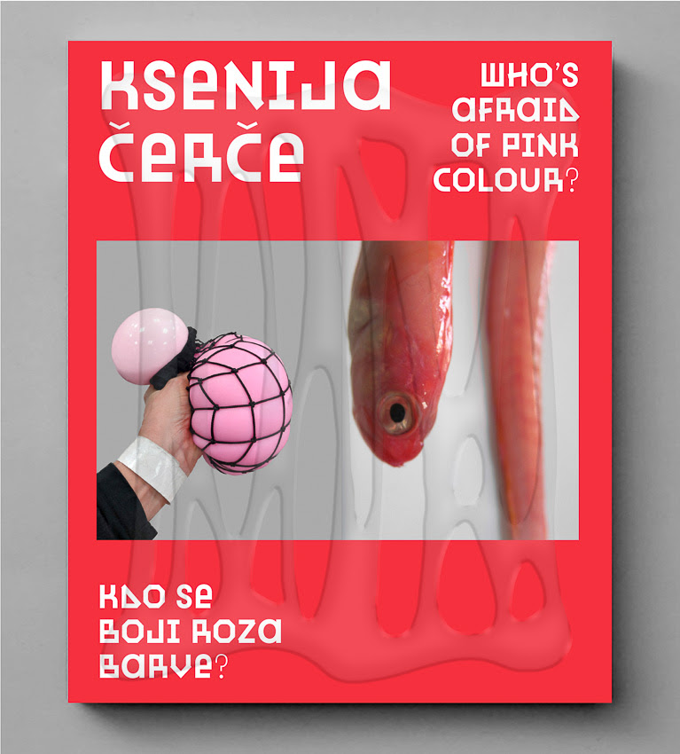 Pogovor ob izidu monografije Ksenije Čerče Kdo se boji roza barve ?
